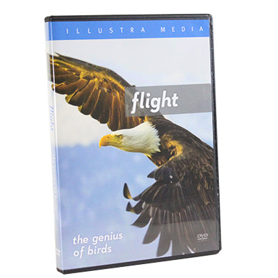 Flight: The Genius of Birds (DVD)
